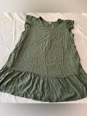 Frye and Co. Green Rayon Dress 1X